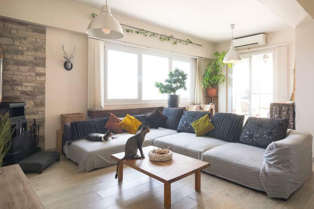 Vas' Penthouse Apartamento Nicósia Exterior foto